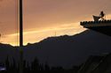 42IMG_0497.jpg